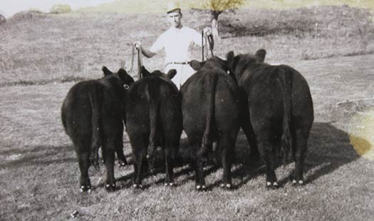 Donna and Rita averaged 20-30 shows a year during their 4-H careers