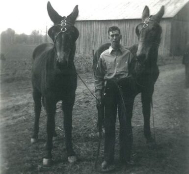 J. L. with his pair of mules